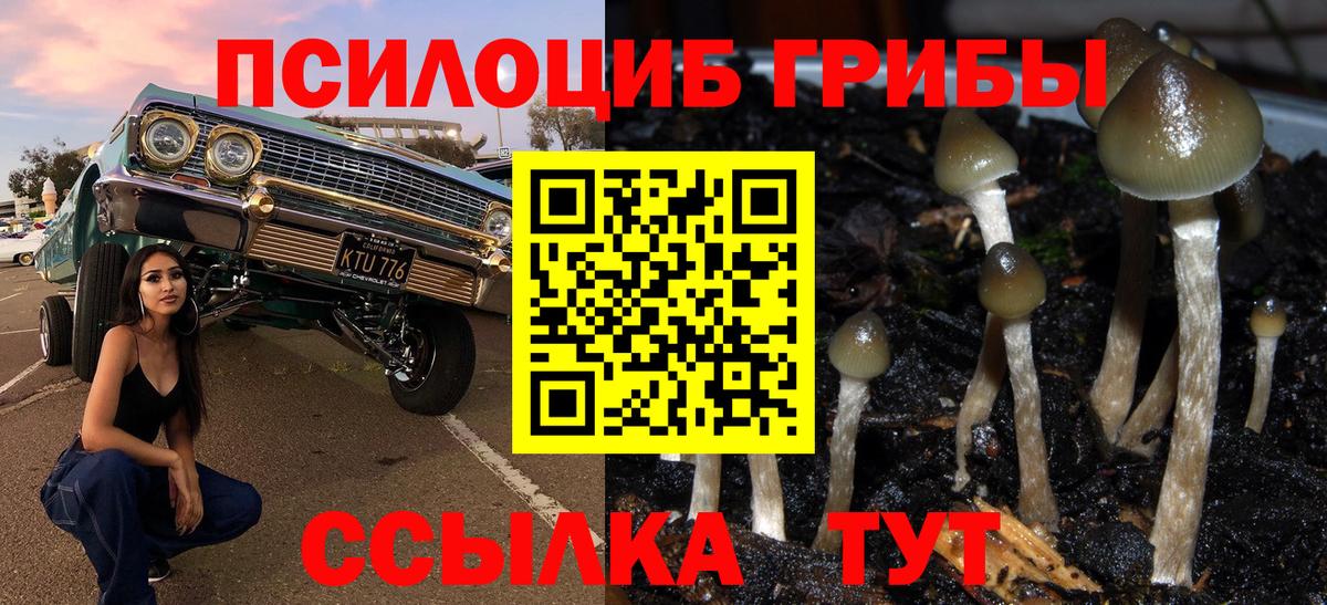 Псилоцибиновые грибы мухоморы Тула