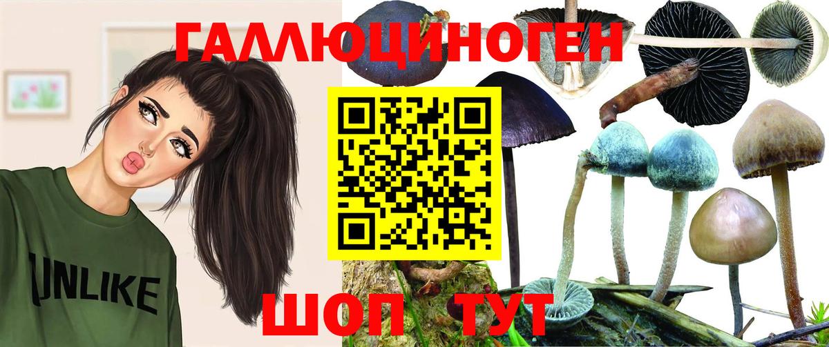 Псилоцибиновые грибы MAGIC MUSHROOMS  Вход с VPN  Тула 